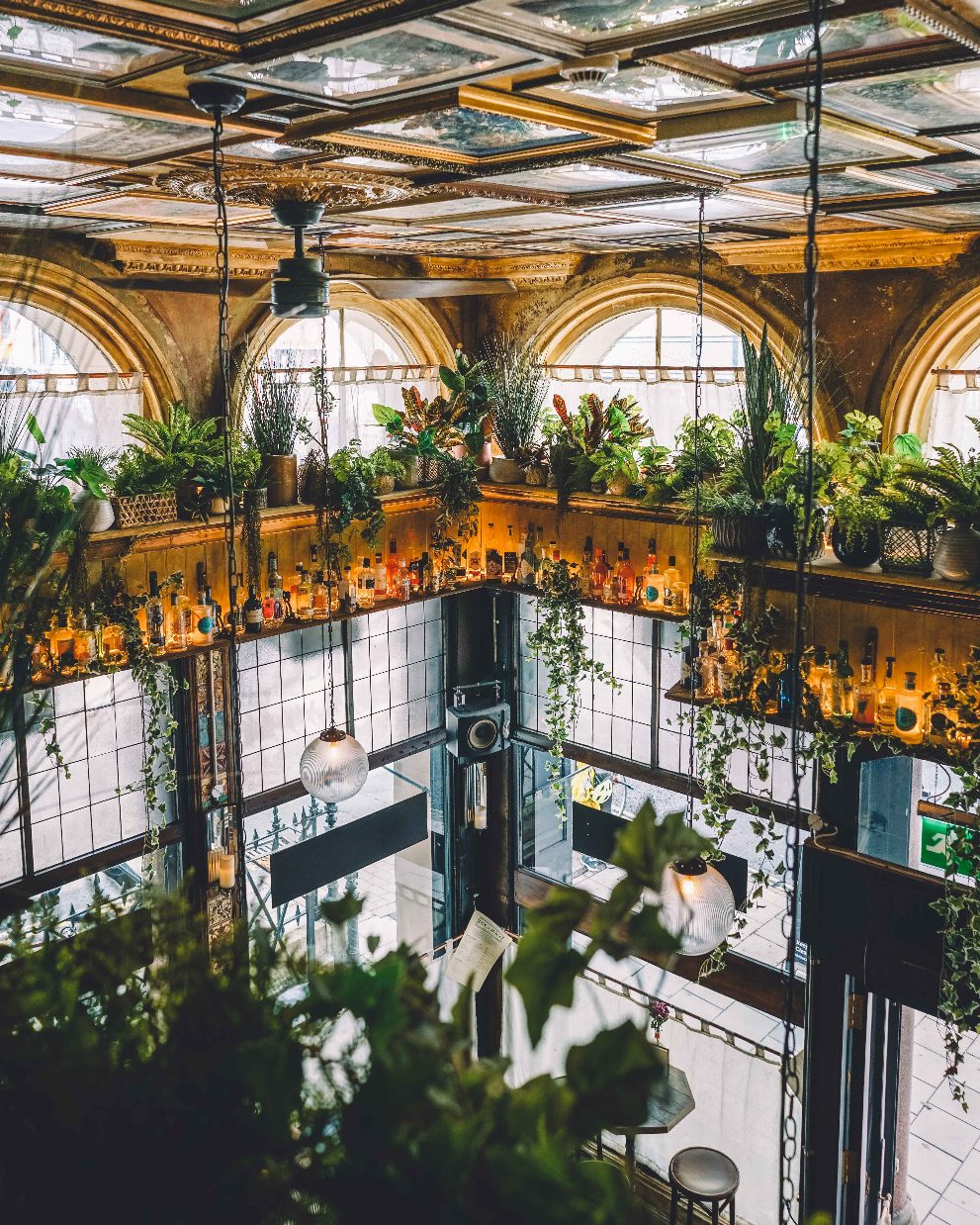 The best gin bar in Bristol, Gin & Juice