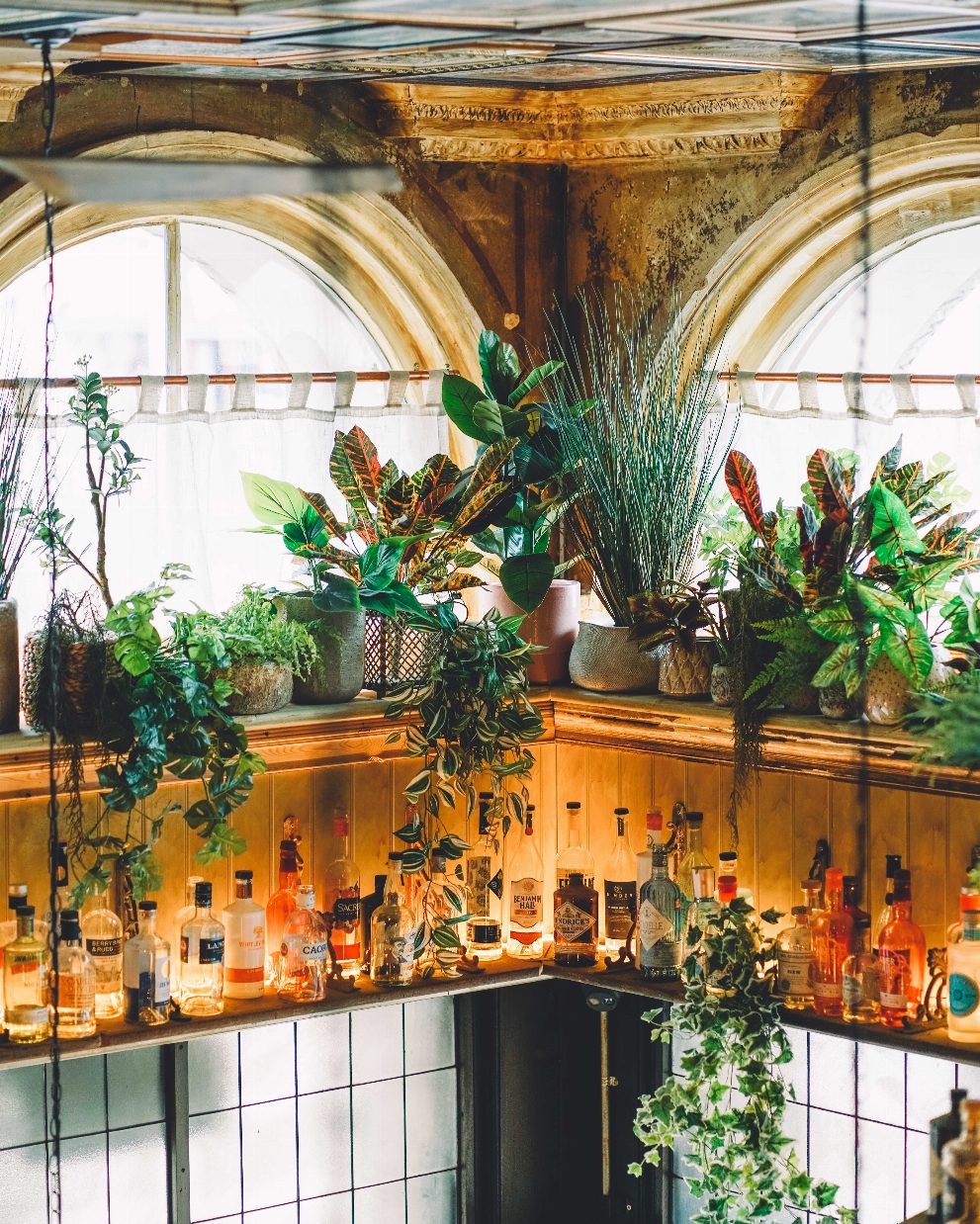 The best gin bar in Bristol, Gin & Juice