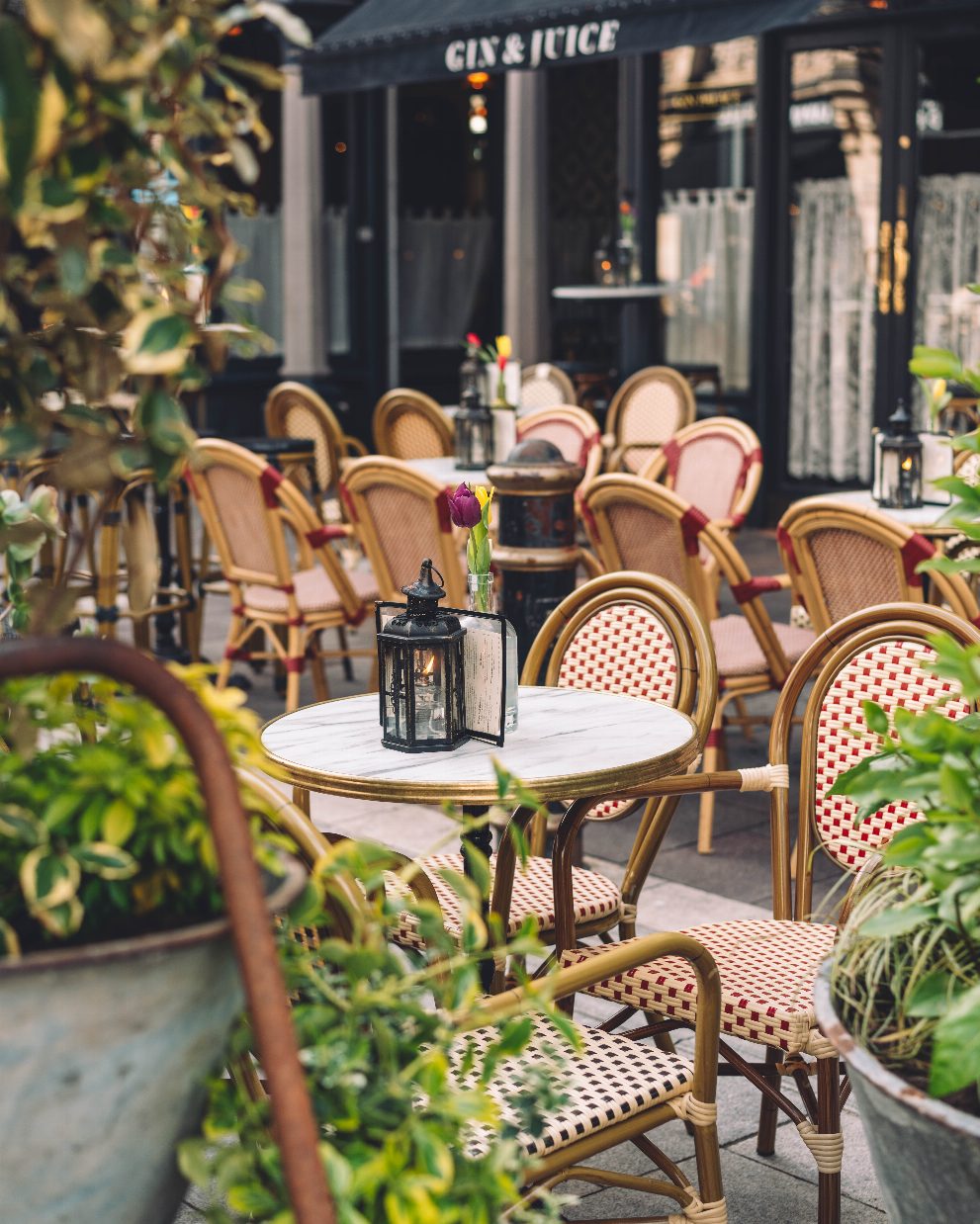 The best gin bar in Cardiff, Gin & Juice