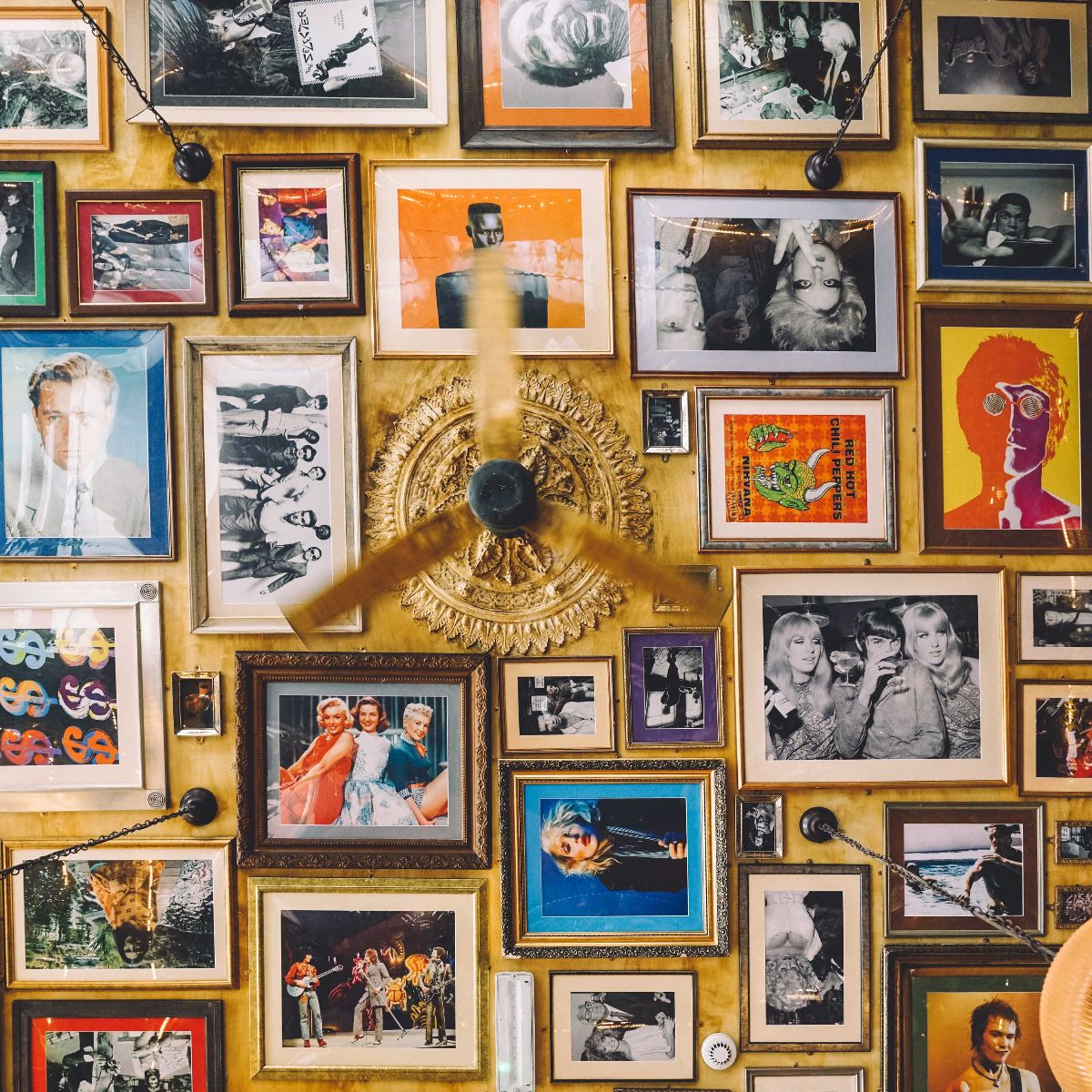 The best gin bars in the land, Gin & Juice