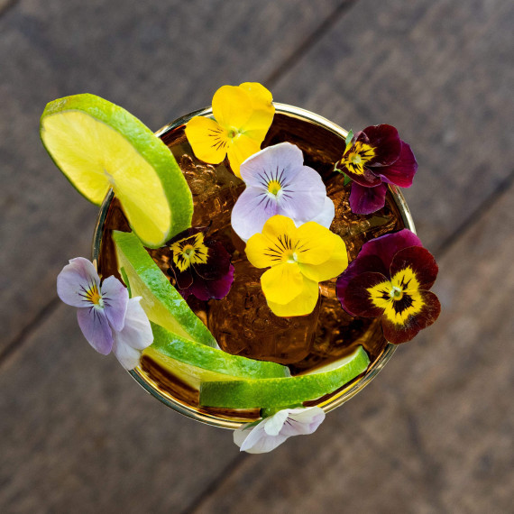 Edinburgh Bramble & Honey