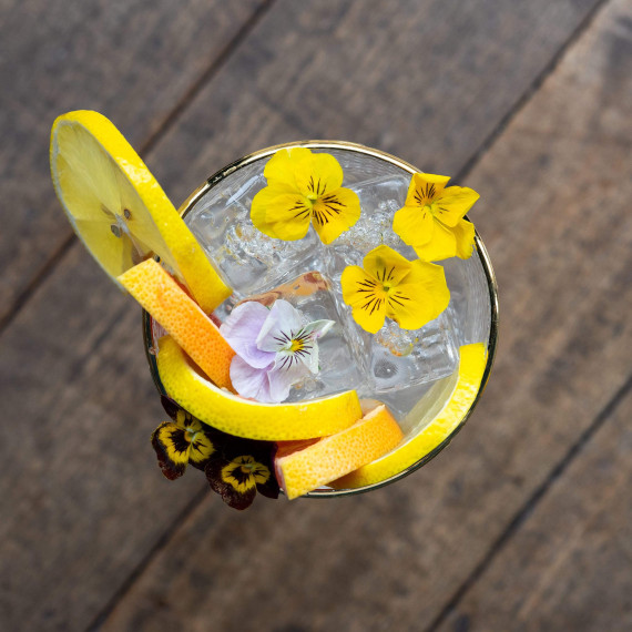 Salcombe New London Light