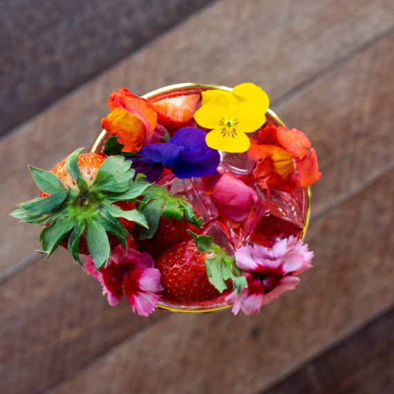 J.J. Whitley Pink Cherry