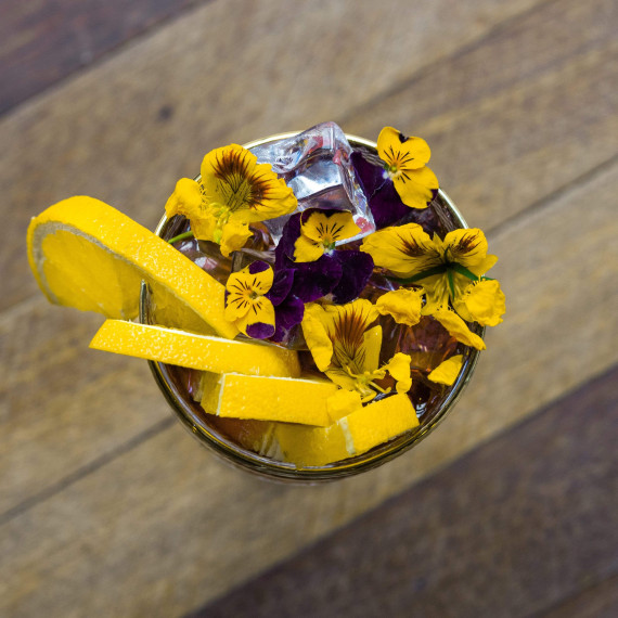 Gabriel Saffron