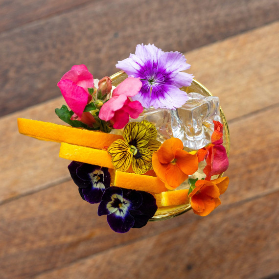 Citadelle No Mistake Old Tom