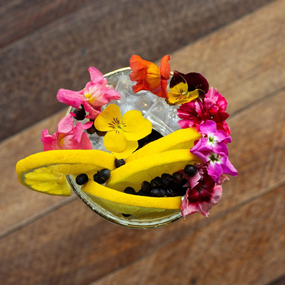 Gin Del Professore Monsieur