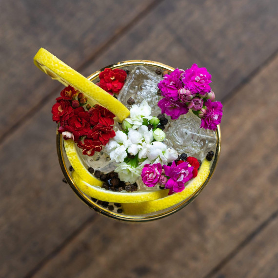 Gin Del Professore Crocodile