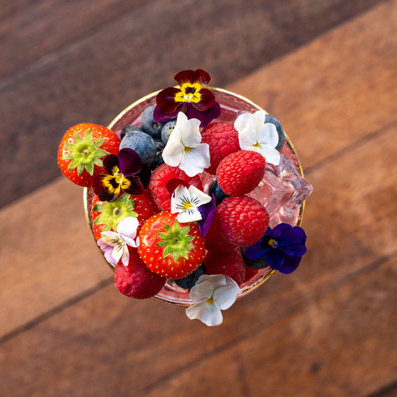 Superdry Vintage Pink Gin