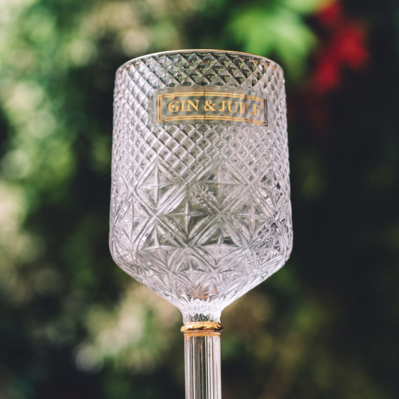 Wine Glasses set of 2 by Gin & Juice