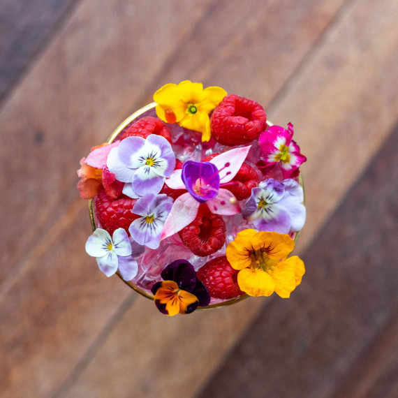 Fox's Kiln Pink Raspberry